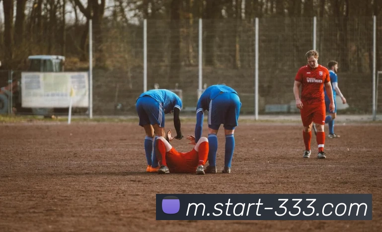 333体育平台生态图