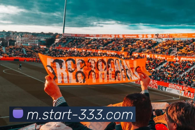 333体育APP 封面图